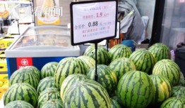 热门大瓜,热门大瓜背后的惊人真相